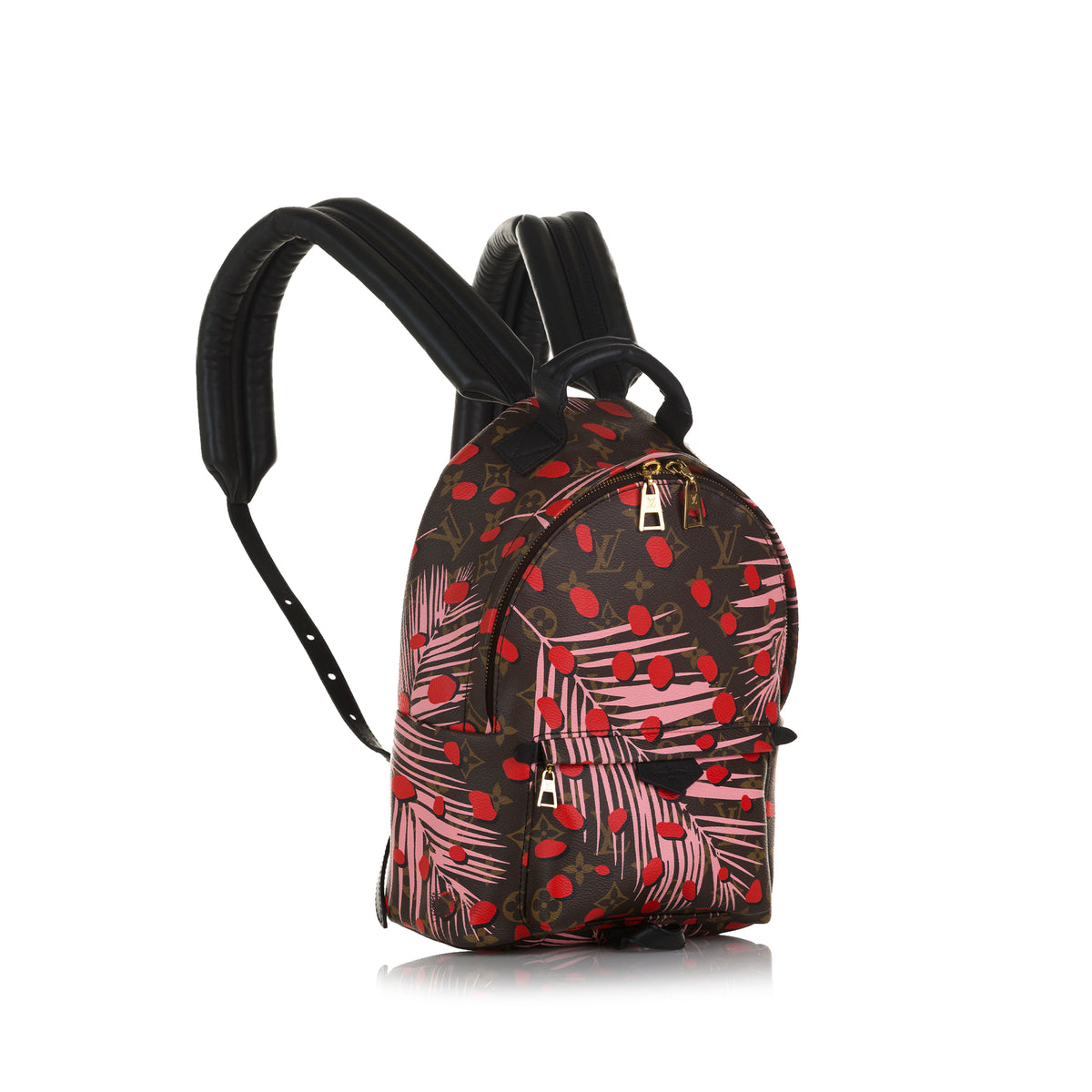 Louis Vuitton Monogram Jungle Dot Palm Springs PM Backpack Daypack