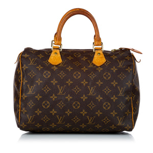 Louis Vuitton Brown Monogram Canvas Speedy 25 Top Handle Bag - My