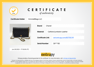 Celine Metallic Light Gold Small Bi-fold Wallet W/Certificate Of  Authenticity