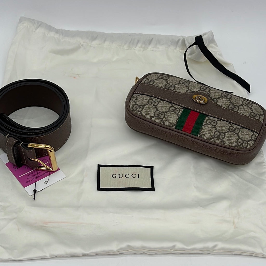 PRELOVED Gucci Ophidia GG Supreme Mini Belt Bag CYR2CJH/874W9J3 022124
