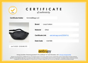PRELOVED Louis Vuitton Monogram Eclipse Explorer Bum Bag CA2189 062023