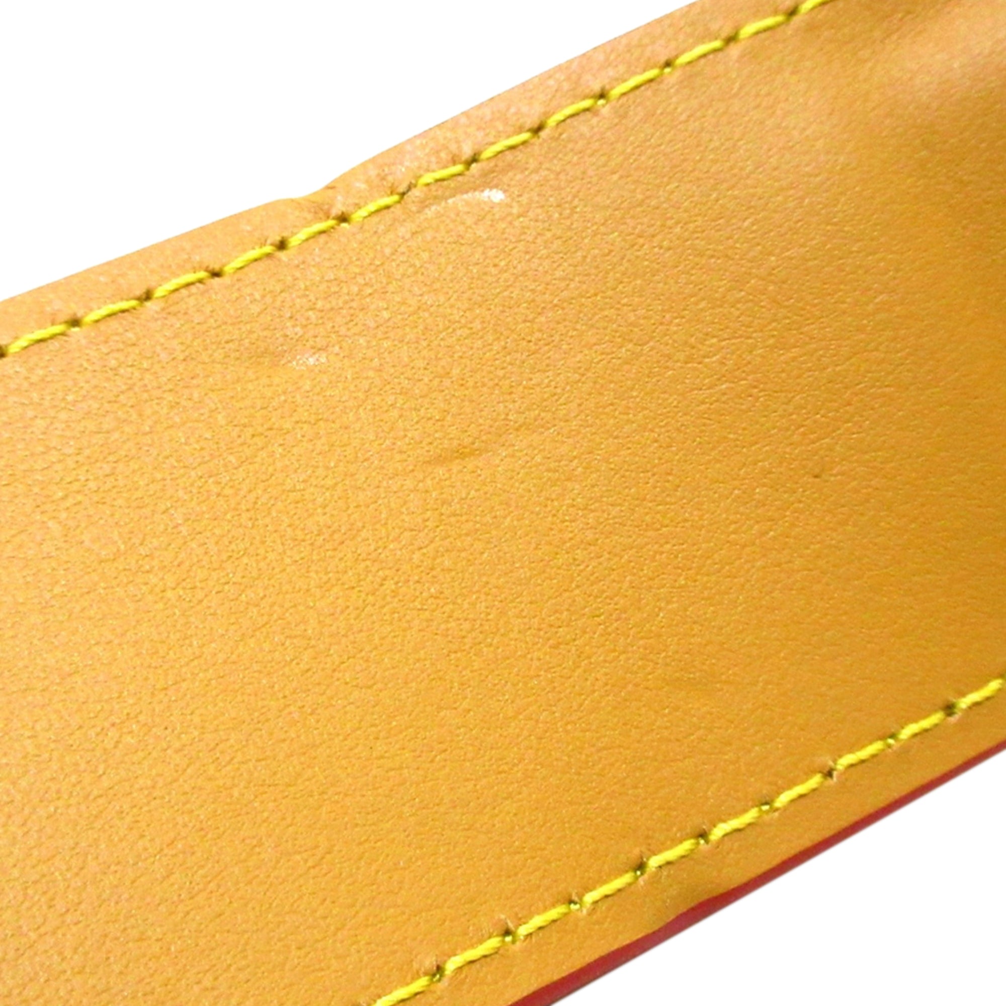 Louis Vuitton Hobo Cruiser PM M46241 leather canvas bag blurry