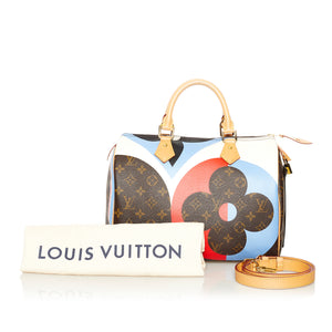 limited edition speedy 30 louis