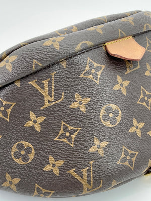 Louis Vuitton Cream Multicolor Monogram Mink And Silver Python Les  Extraordinaires Bum Bag Gold Hardware, 2006 Available For Immediate Sale At  Sotheby's