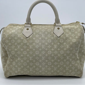 Louis Vuitton Mini Speedy - Good or Bag