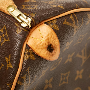Louis Vuitton Speedy 30 Leather ref.869331 - Joli Closet