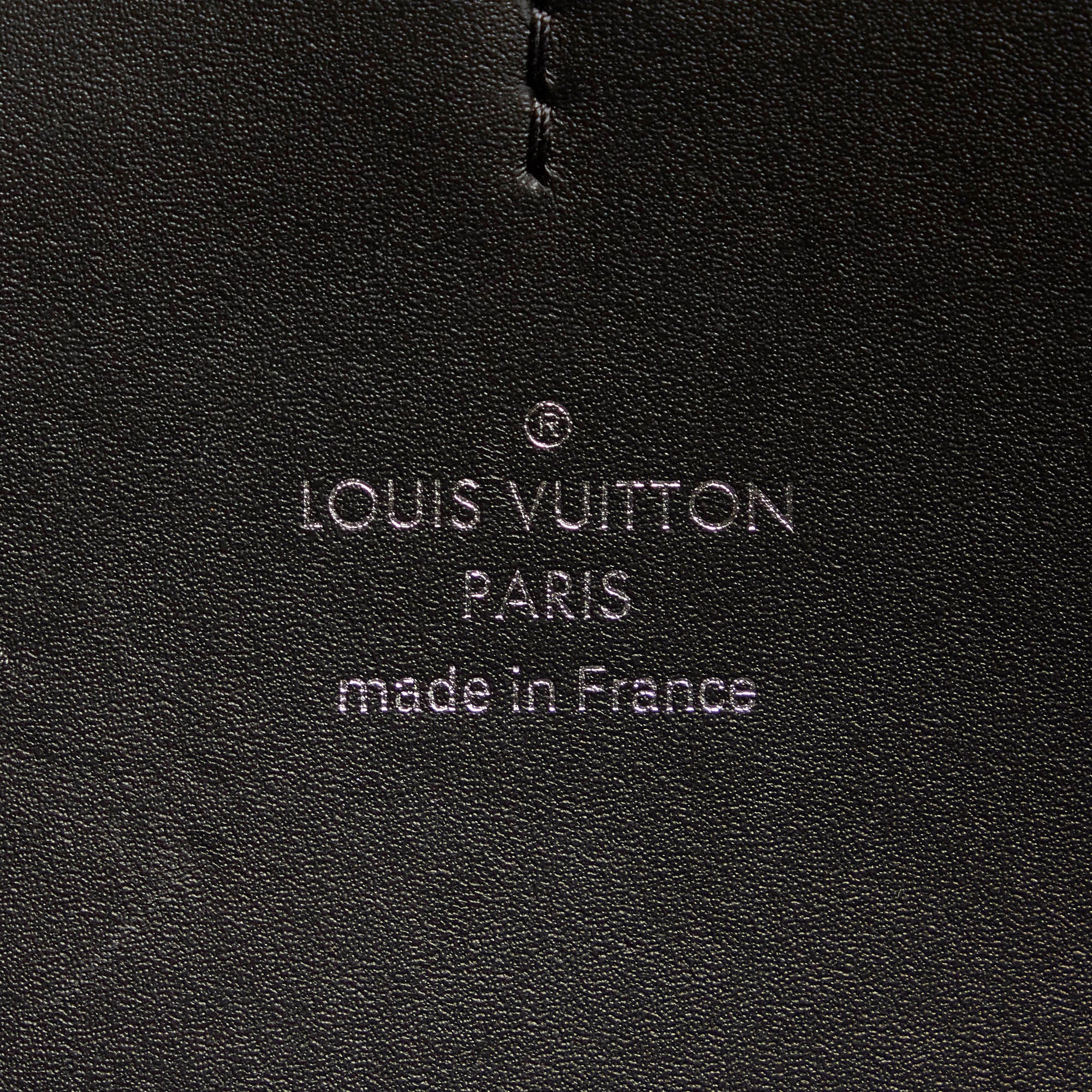 Louis Vuitton 2019 pre-owned Monogram Giant Reverse Dauphine Gürteltasche  Braun
