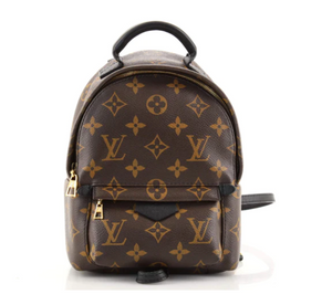 Palm Springs Limited Edition backpack in brown monogram canvas