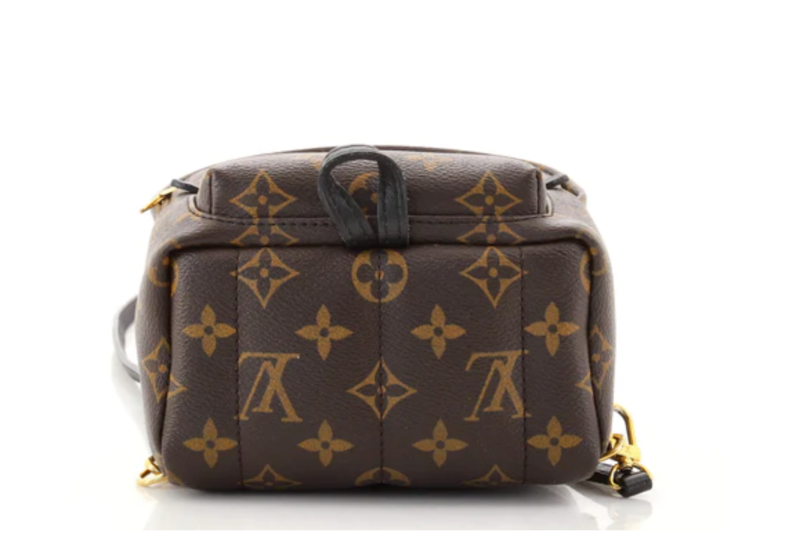 Preloved Louis Vuitton Palm Springs Monogram Mini Backpack CA1149 012523