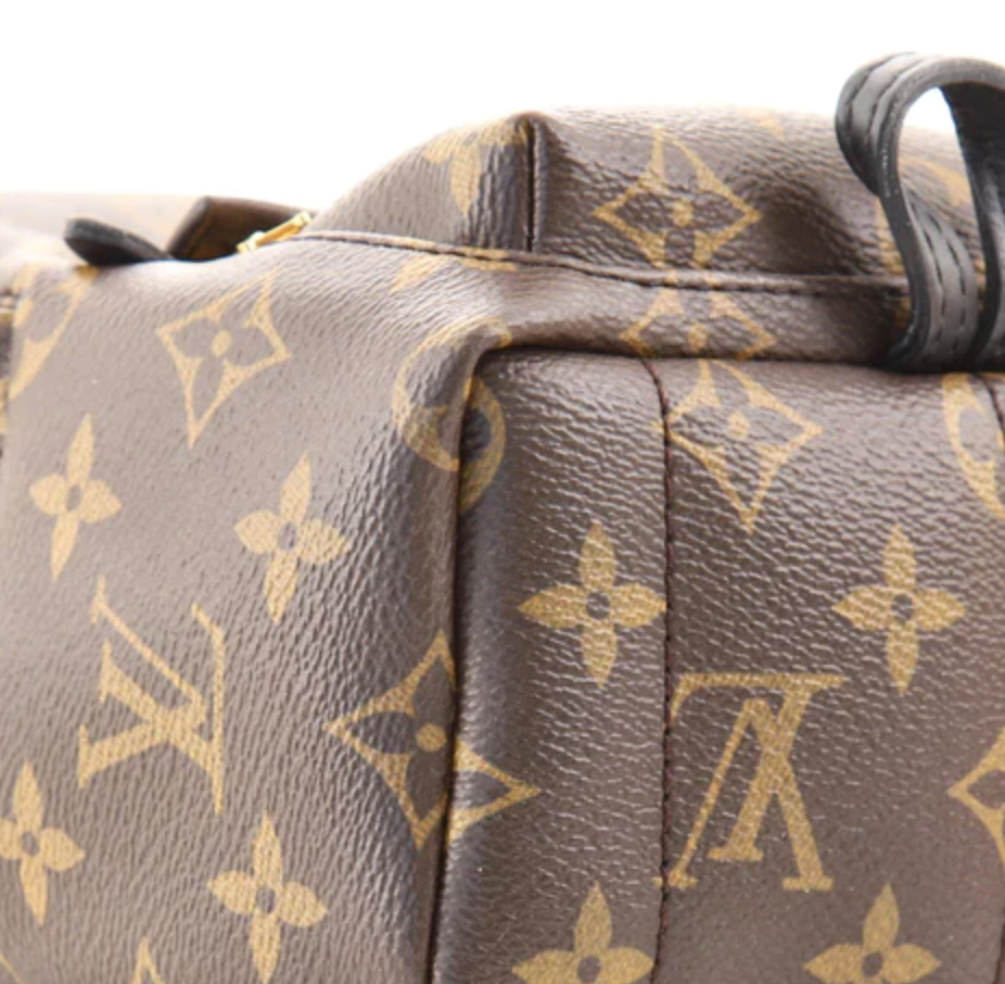 Louis Vuitton Palm Springs Backpack Backpack 403260