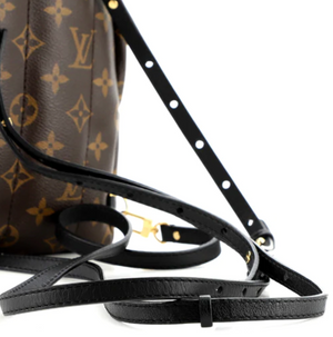 Preloved Louis Vuitton Palm Springs Monogram Mini Backpack AR5123 011923