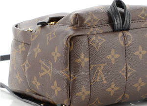 Preloved Louis Vuitton Palm Springs Monogram Mini Backpack AR2166 011723 LS