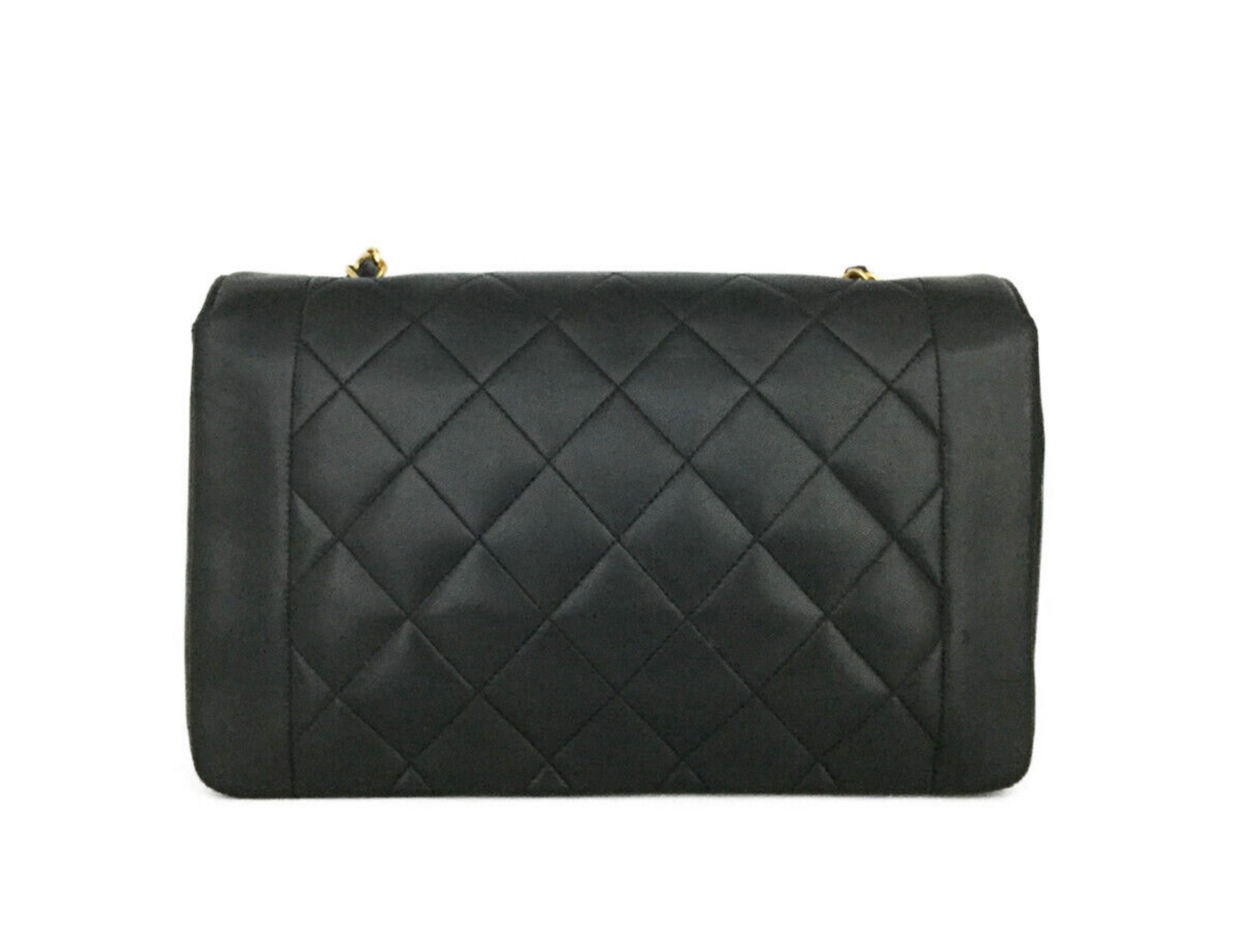 Vintage Chanel Quilted Matelasse Diana 25 Lambskin Shoulder Bag 2430698 022223