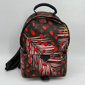 Louis Vuitton - Palm Springs Backpack PM Monogram Canvas Jungle