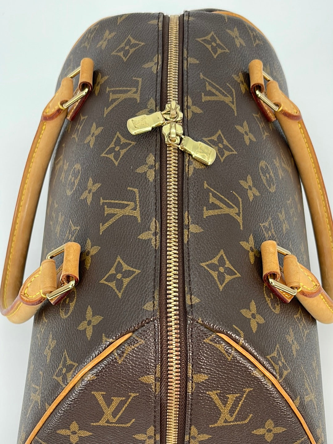 Louis Vuitton Ribera MM DE bag - Reetzy