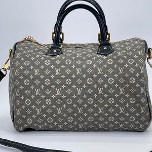 Louis Vuitton Monogram Speedy 30 Bag in Grey